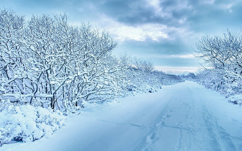 Winter, Nature, Trees, Snow, Road, Overcast, Mainly Cloudy, Traces HD wallpaper