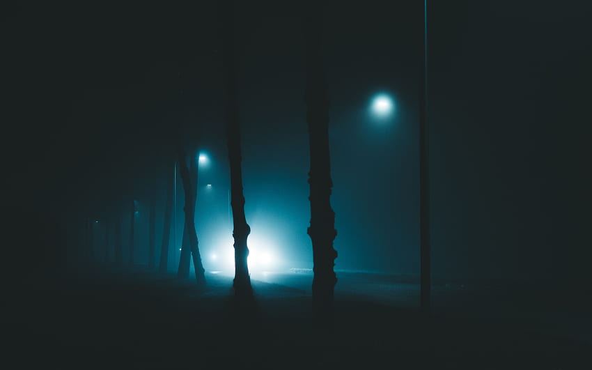 Bäume, Nacht, Lichter, Dunkel, Schein, Licht, Nebel, Laternen, Düster, Umhüllend, Entthy HD-Hintergrundbild