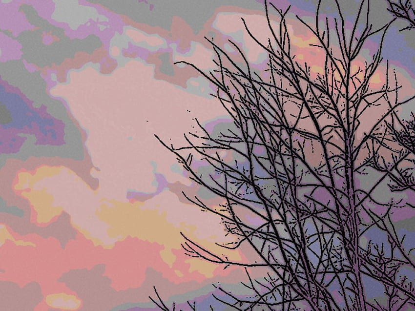 pretty sky, blue, pastel, dusk, pink, painting, yellow, branches, trees, sky HD wallpaper