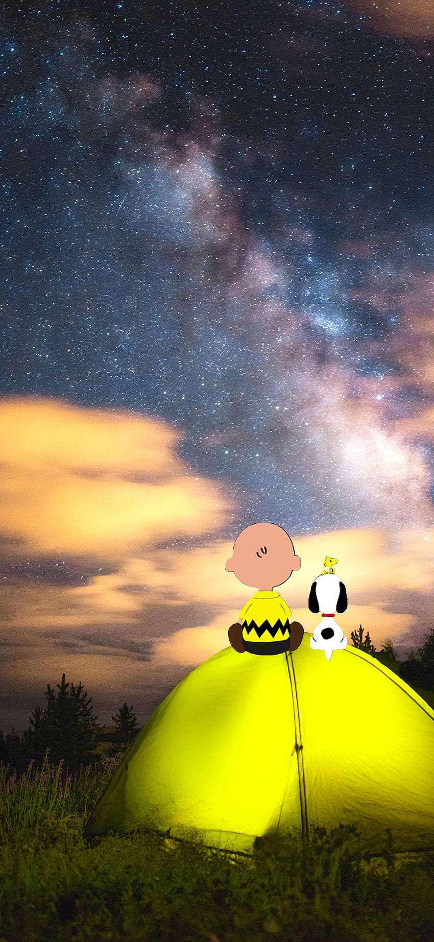 Snoopy and Charlie Brown Phone Background . Snoopy , Snoopy , Phone HD  phone wallpaper | Pxfuel