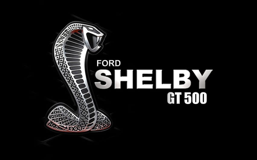 Amazon.com : GRAPHICS & MORE Shelby Cobra Logo Garden Yard Flag : Patio,  Lawn & Garden