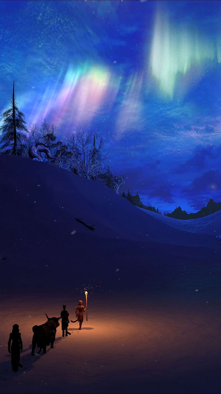 Winter Night North Pole Sky iPhone . iPhone HD phone wallpaper
