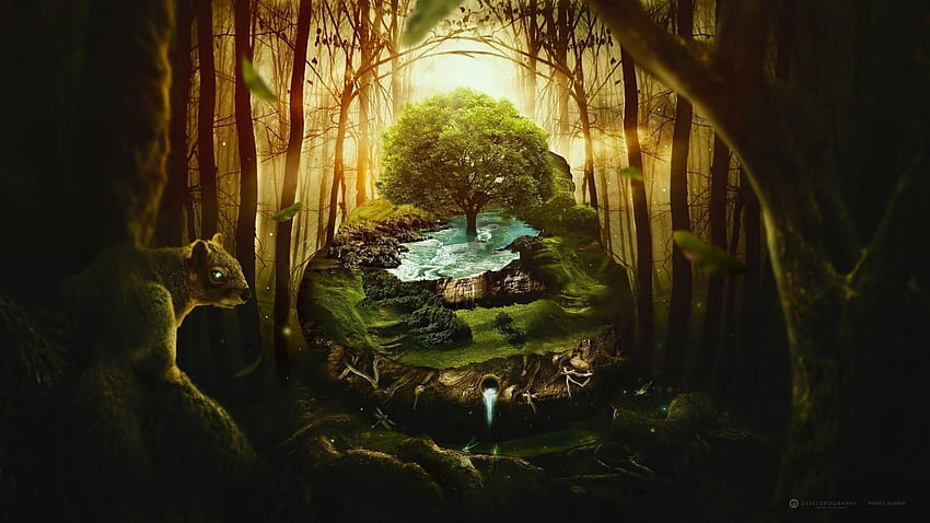 Fantasy Forest, Epic Forest HD wallpaper