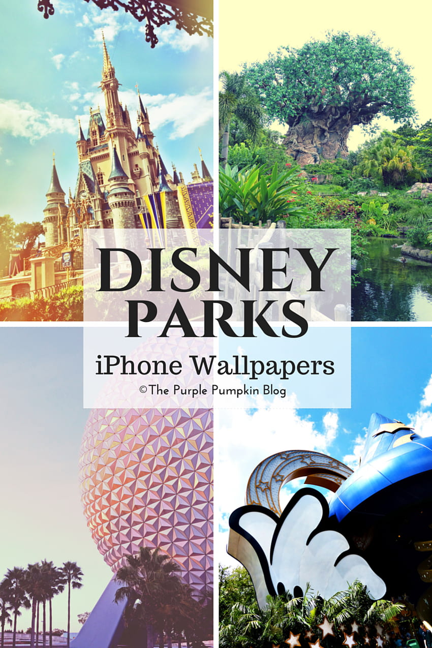 Disney Parks iPhone 20100DaysOfDisney [] for your , Mobile & Tablet. Explore Disney's Hollywood Studios . Disney's Hollywood Studios , Universal Studios Hollywood , Universal HD phone wallpaper