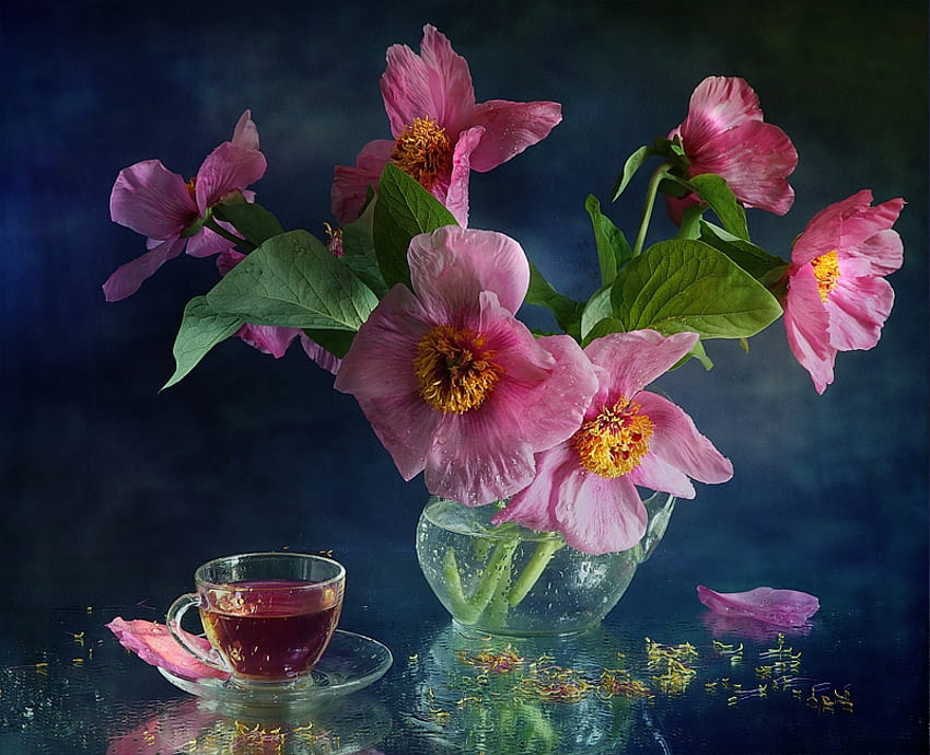 Still Life for Cherie (Monarch), still life, pink, herbal tea, vase, flowers, lovely HD wallpaper