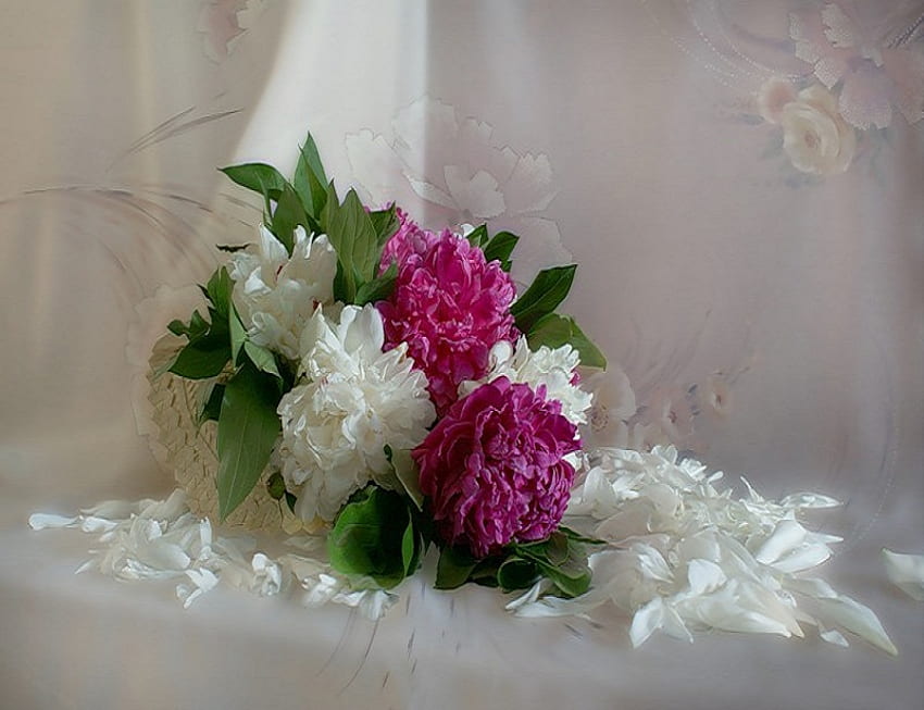 사랑의 색, 흰색, 꽃다발, 모란, 꽃, 아름다운, 분홍색, 꽃잎, 꽃 HD 월페이퍼