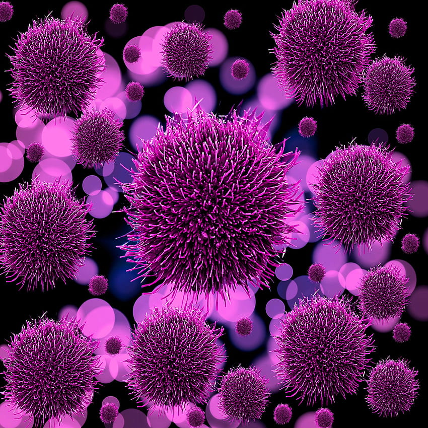 Background Germs Virus Stock - Public Domain, Viruses HD phone wallpaper