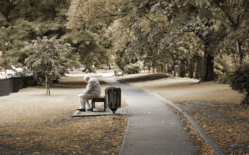 Trees, , , Sit, Park, Human, Person, Loneliness, Bench, Elderly HD wallpaper