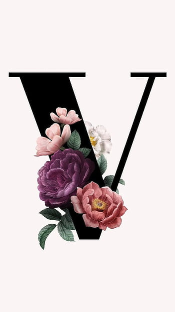 V Letter, Flower Alphabet HD phone wallpaper | Pxfuel