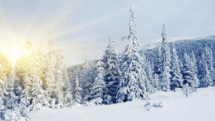 冬: 雪の家 ロシア 村の木 冬物語 高画質の壁紙