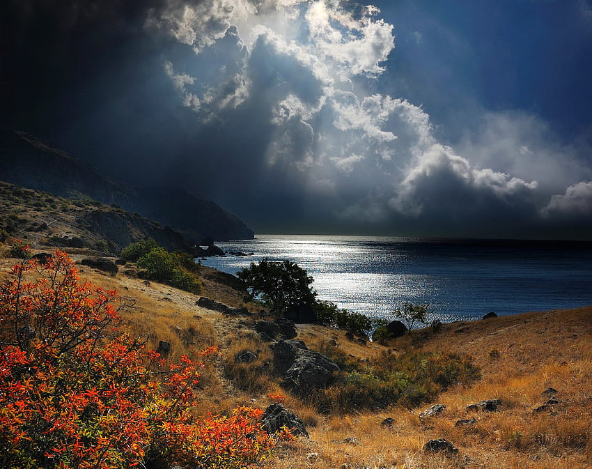Nature, Grass, Sky, Sea, Night, Shore, Bank, Crimea HD wallpaper