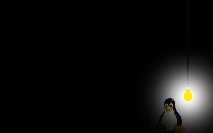 65 Linux Tux [] for your , Mobile & Tablet. Explore Tux Penguin . Tux Penguin , Tux , Linux Tux HD wallpaper