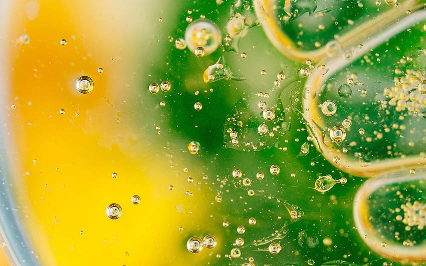 bubbles, gradient, shape, surface, green 16:10 background HD wallpaper