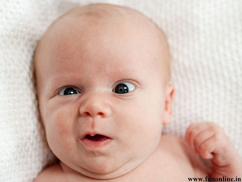 Bébé drôle hilarant et drôle, visage de bébé Fond d'écran HD