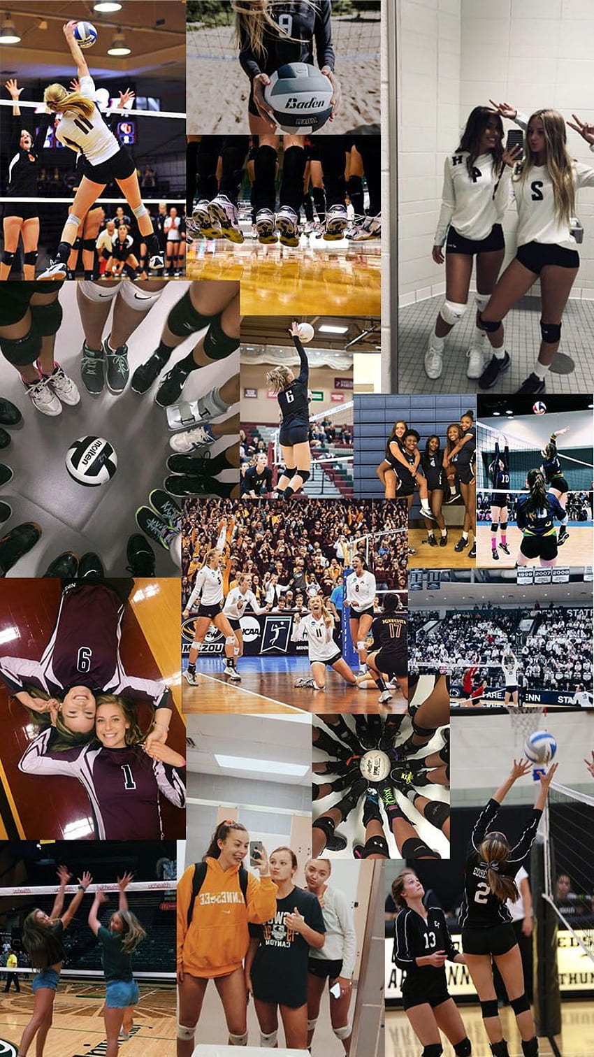 Volleybal  collage Volleyball  Volleyball posters Volleyball Volleyball  Aesthetic HD phone wallpaper  Pxfuel