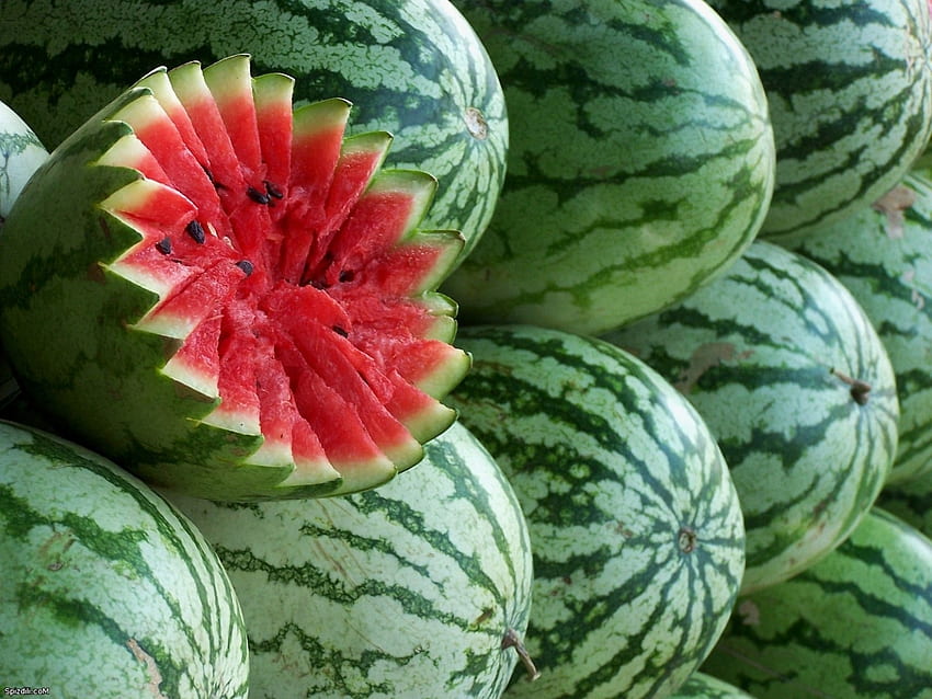 Pflanzen, Früchte, Lebensmittel, Wassermelonen HD-Hintergrundbild