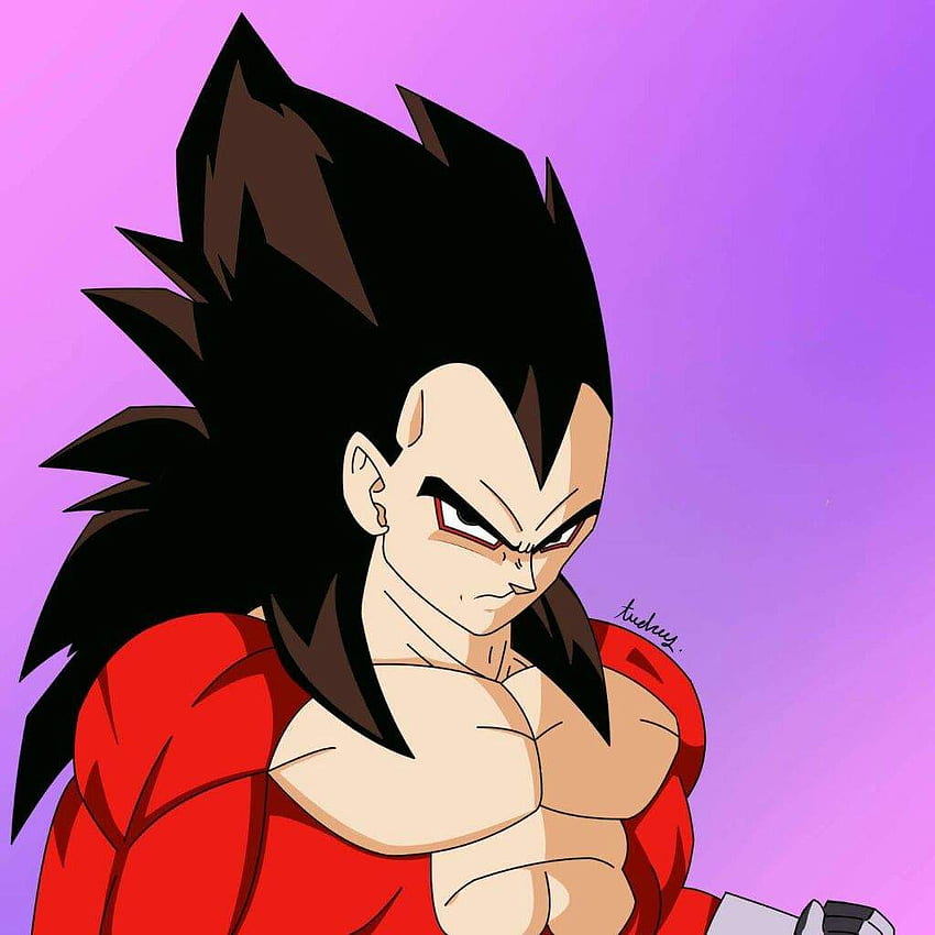 Vegeta(SSJ2)  DragonBallZ Amino