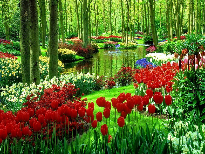 Wiosenny ogród kwiatowy -, wiosenny ogród kwiatowy w tle na nietoperzu, naturalny ogród Tapeta HD