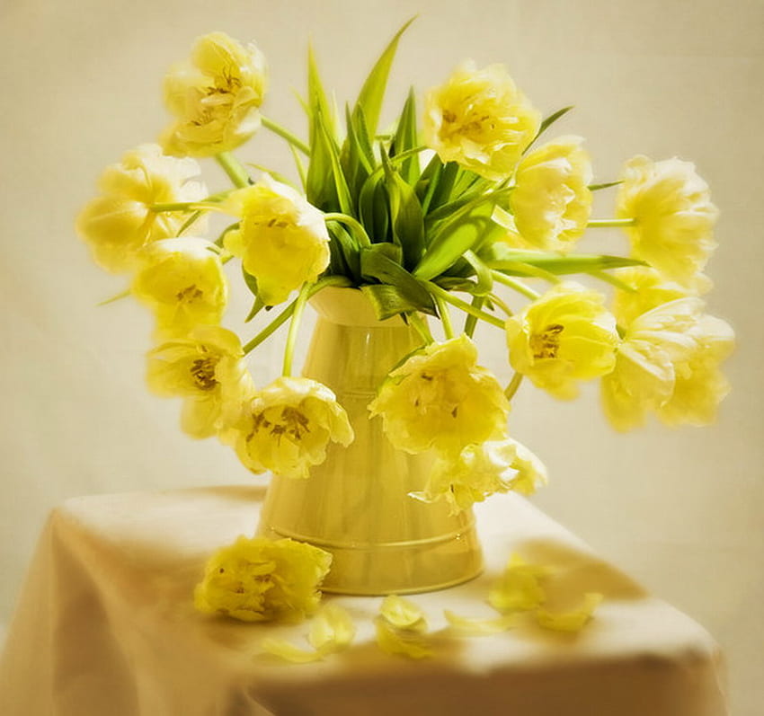 黄色のチューリップ、花瓶、チューリップ、春、黄色 高画質の壁紙