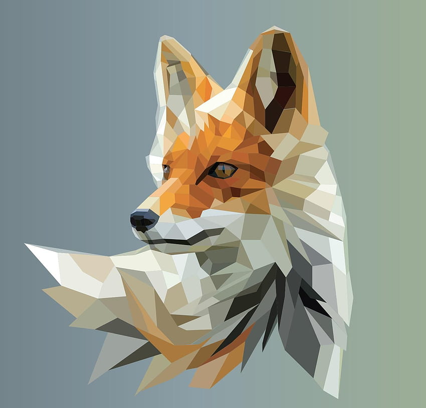 Art, Polygon Fox HD wallpaper
