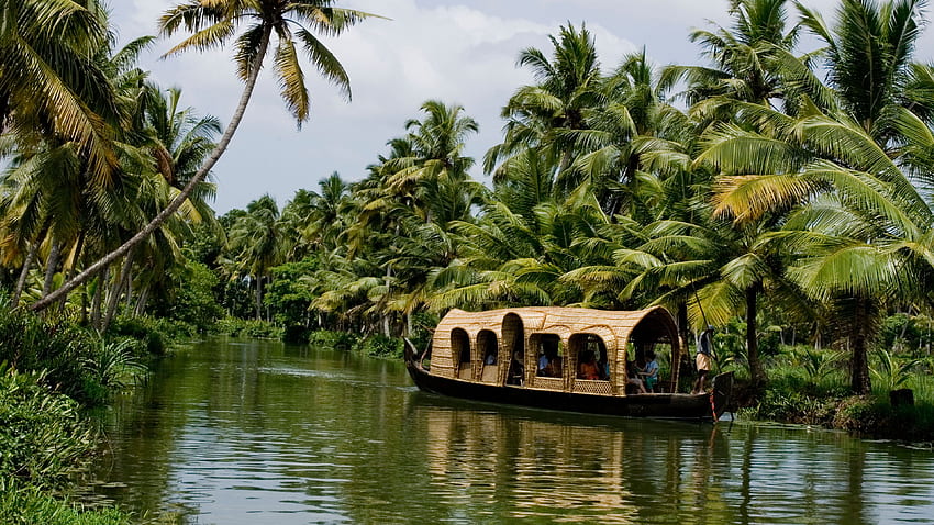 La mejor naturaleza de la India con los remansos de Kerala, la naturaleza india fondo de pantalla