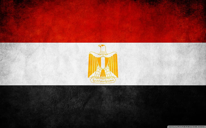 Egypt Flag By Alamir ❤ for Ultra, Egyptian Flag HD wallpaper