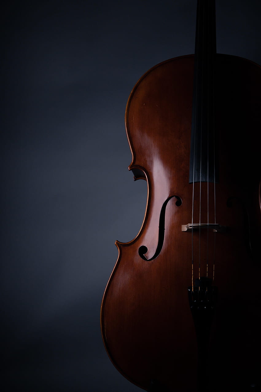 Music, Musical Instrument, Violin HD phone wallpaper