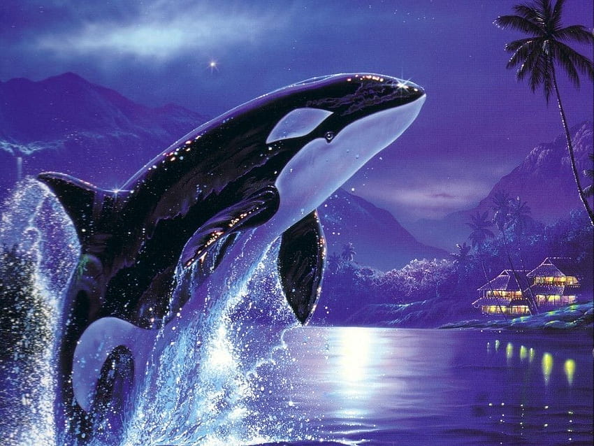 Baleias orca, bebê orca papel de parede HD