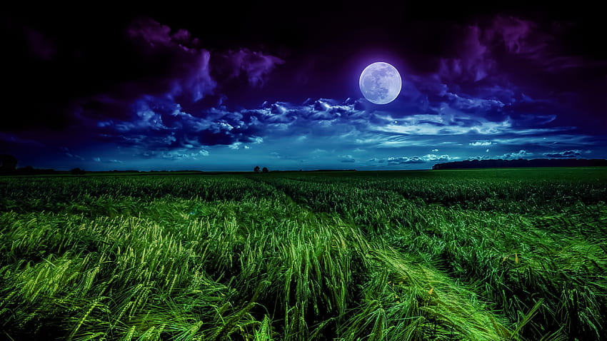 lapangan rumput, bulan, pemandangan, malam, awan, , u 16:9, layar lebar, , latar belakang, 15296, Lapangan berumput Wallpaper HD