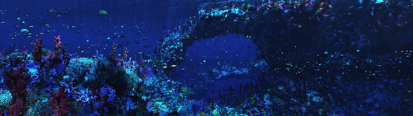 Двоен монитор дълбоко под океана - три екрана под вода, двоен монитор вода HD тапет