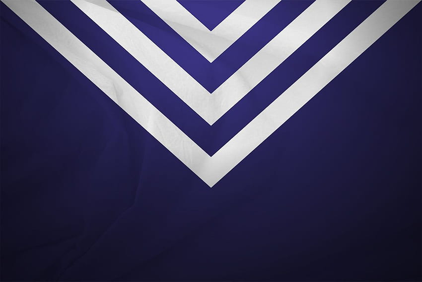 Season Review: What the Hell Happened at Freo?, Fremantle Dockers HD wallpaper