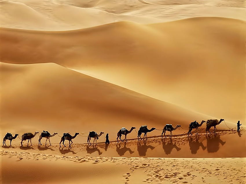 The Deserts of the World - The Golden Scope, Arabian Desert HD wallpaper
