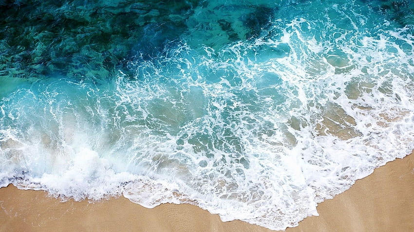 beach, sea, sand, water, transparent, purity, freshness HD wallpaper