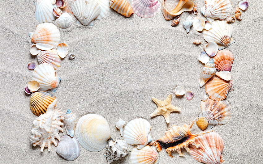 Buona estate!, stella marina, estate, conchiglia, sabbia, grigio Sfondo HD