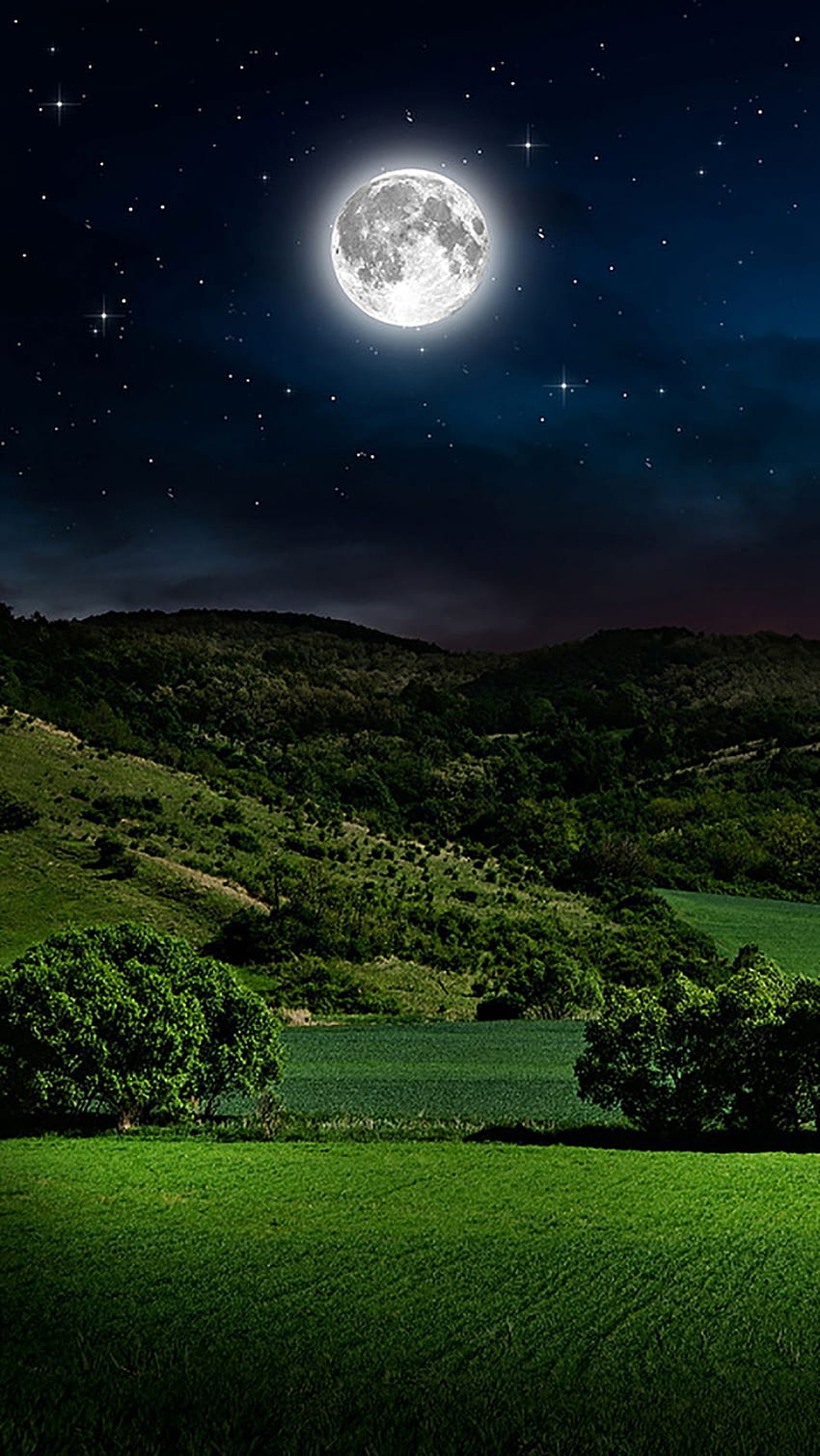 beautiful night landscape wallpaper