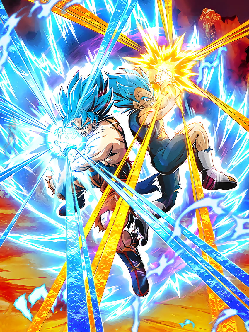 SSB Goku & Vegeta, DBS, Dokkan HD phone wallpaper