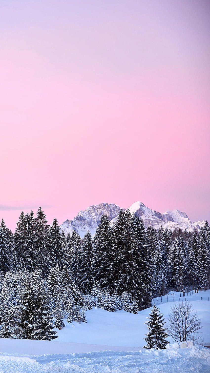 montañas, árboles, rosa, nieve q samsung galaxy s6, s7, edge, note, lg g4 background fondo de pantalla del teléfono