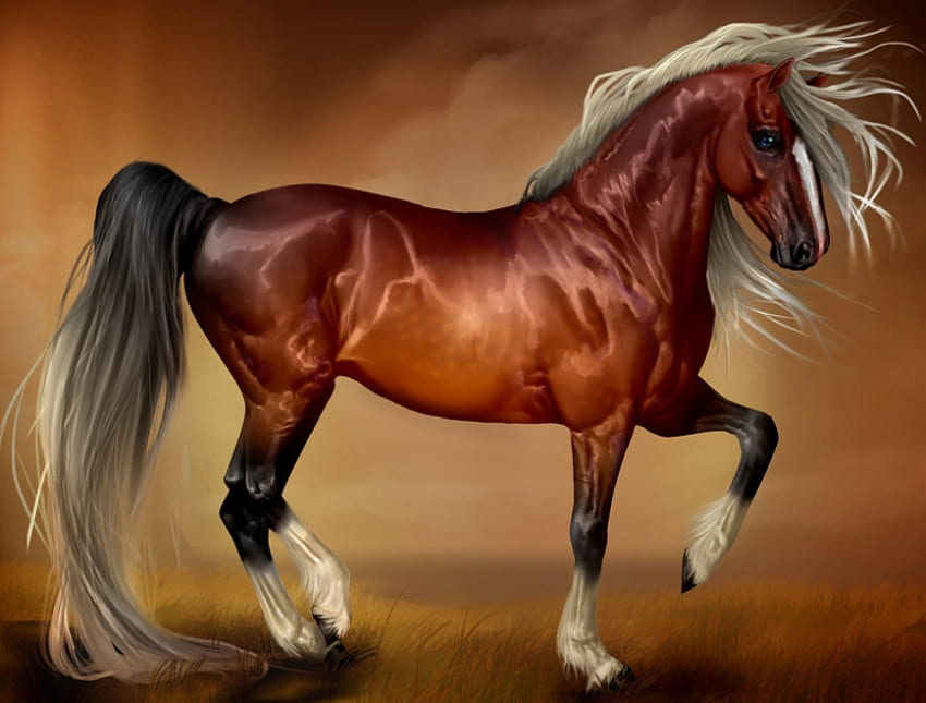 Majestic brown horse, animal, run, horse, brown HD wallpaper