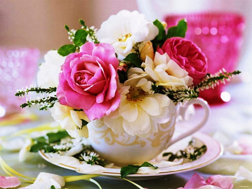 Joy in a cup with roses, white, graphy, roses, cup, pink, abstract, nature, flowers, happiness, saucer HD wallpaper