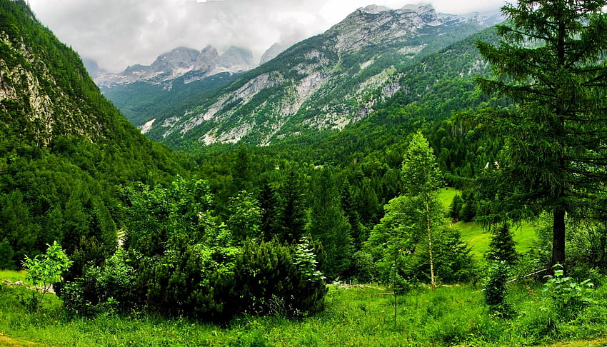 Natura, drzewa, góry, las, głównie zachmurzenie, zachmurzenie, Słowenia Tapeta HD