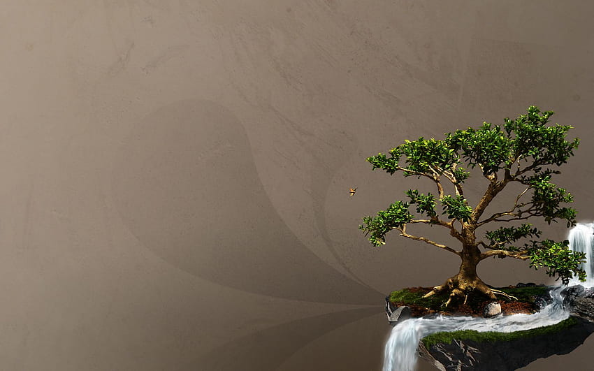 Pohon Bonsai, Zen Bonsai Wallpaper HD
