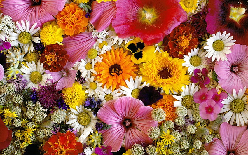 Flowers, Bouquet, Composition HD wallpaper