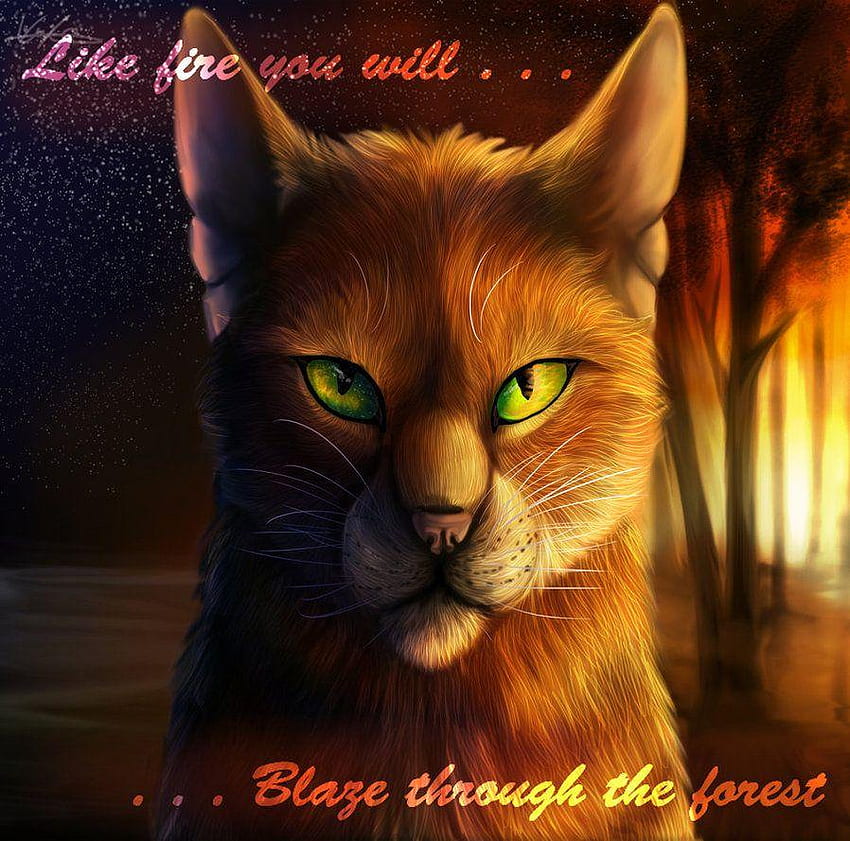 Warrior Cats Firestar, Warriors Cat HD wallpaper | Pxfuel