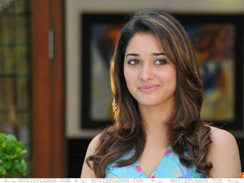 850px x 638px - Page 8 | tamanna HD wallpapers | Pxfuel