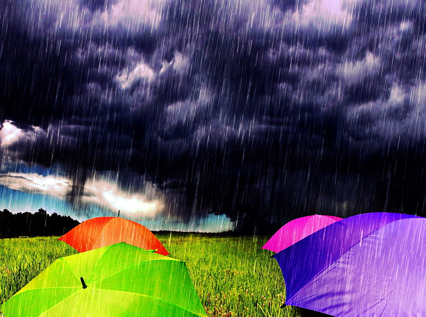 Tempestade, chovendo, guarda-chuvas, chuva, nuvens, céu papel de parede HD