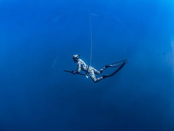 Spearfishing Course Evolve diving Learn From The Best HD wallpaper | Pxfuel