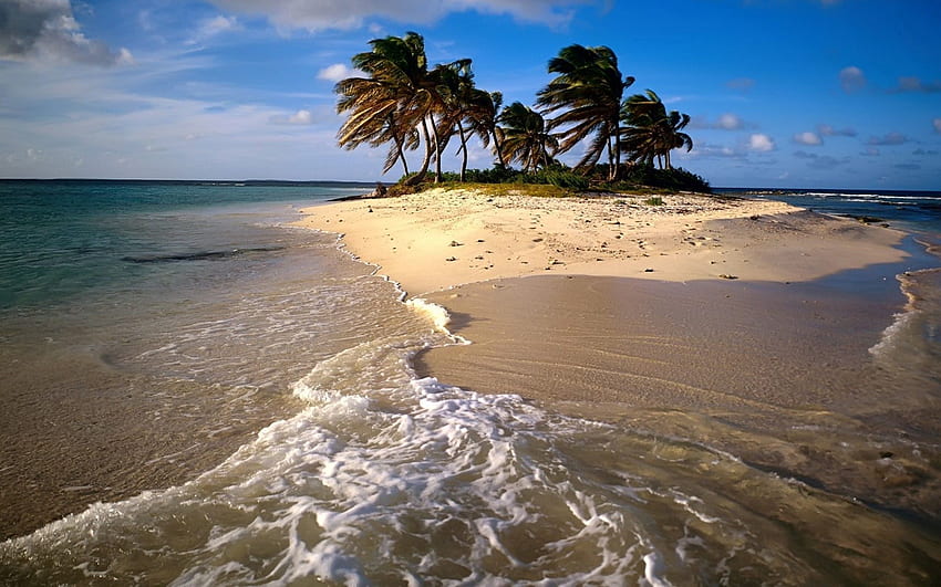 Sea, Nature, Beach, Sand, Palm HD wallpaper