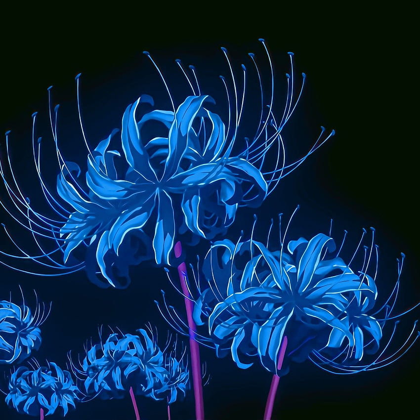 Lys araignée bleue, fleur tueuse de démons Fond d'écran de téléphone HD