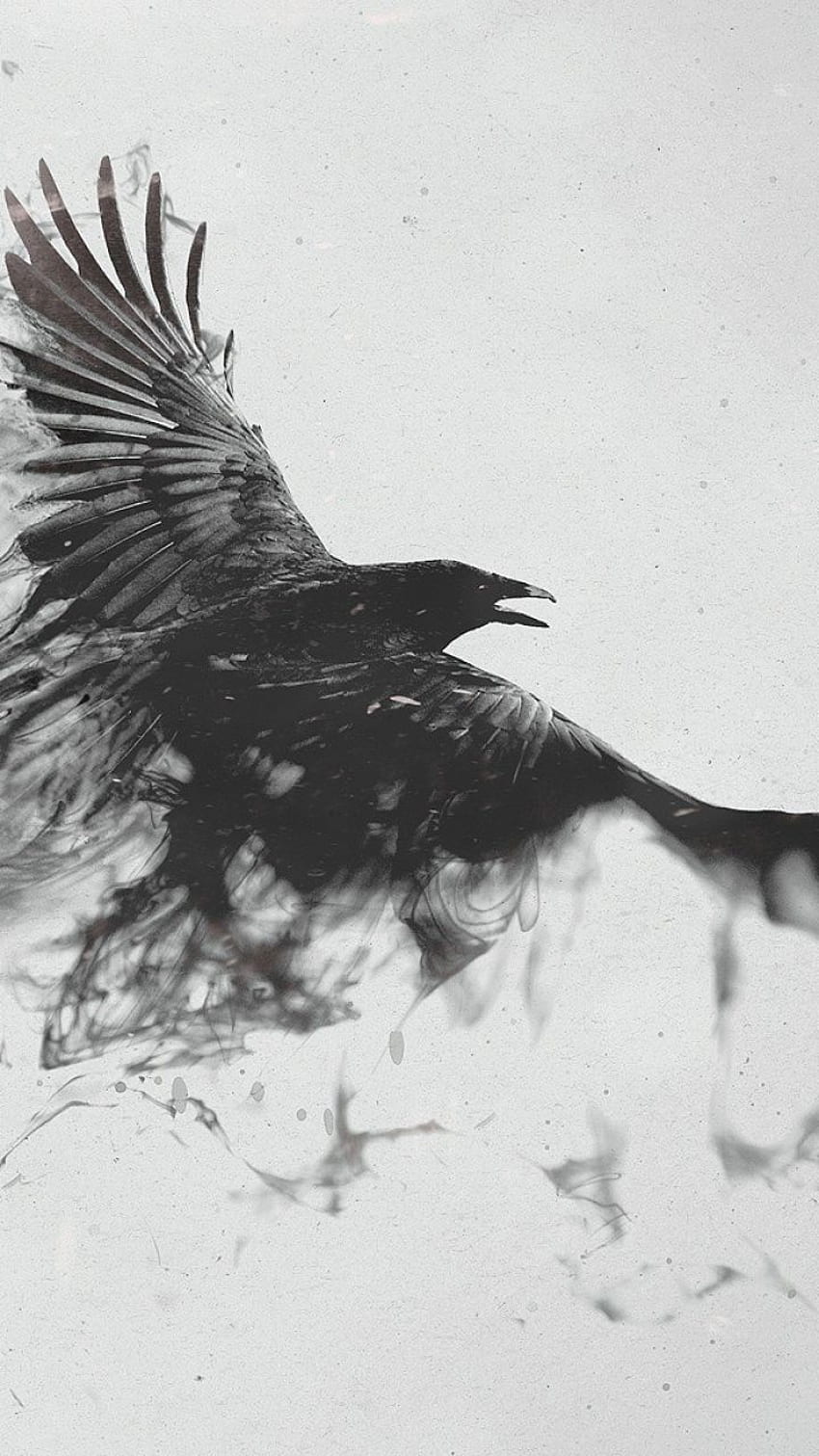 raven, bird, flying, smoke, black white. Raven tattoo, Crow tattoo, Smoke art HD phone wallpaper