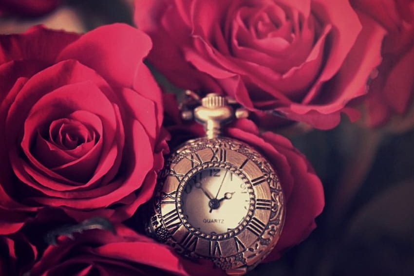 Докосване на червено, рози, време, часовник, червено, цветя HD тапет